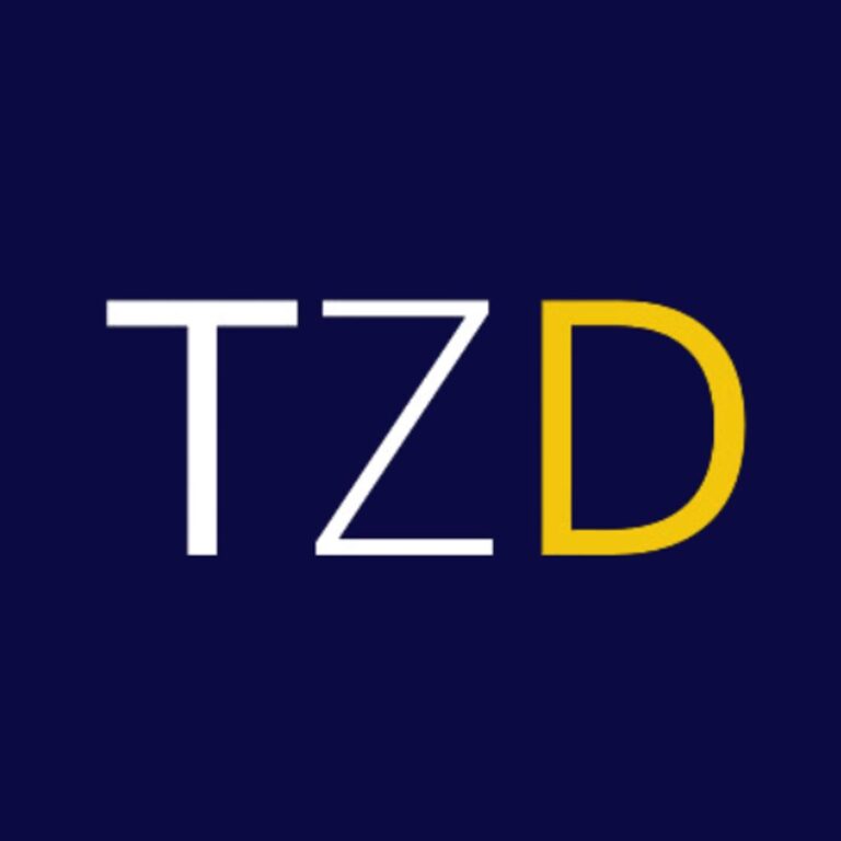 לוגו TZD SEO